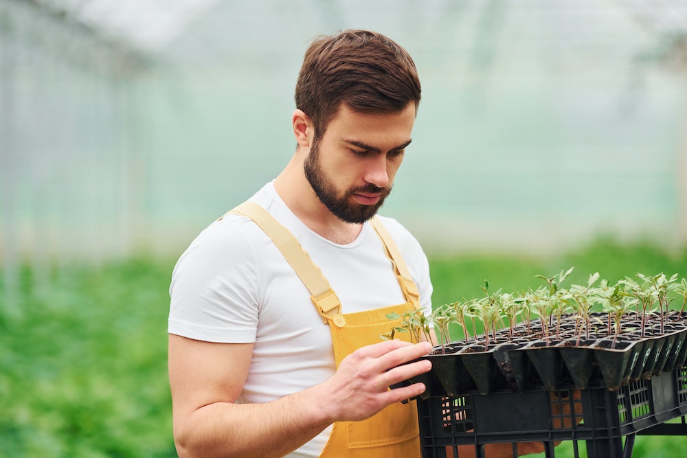 Modèles de financement innovants pour la Coopérative d'activités et d'emplois