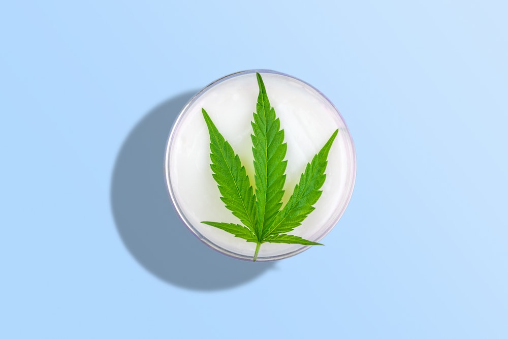 Franchises : le marché du CBD en pleine explosion